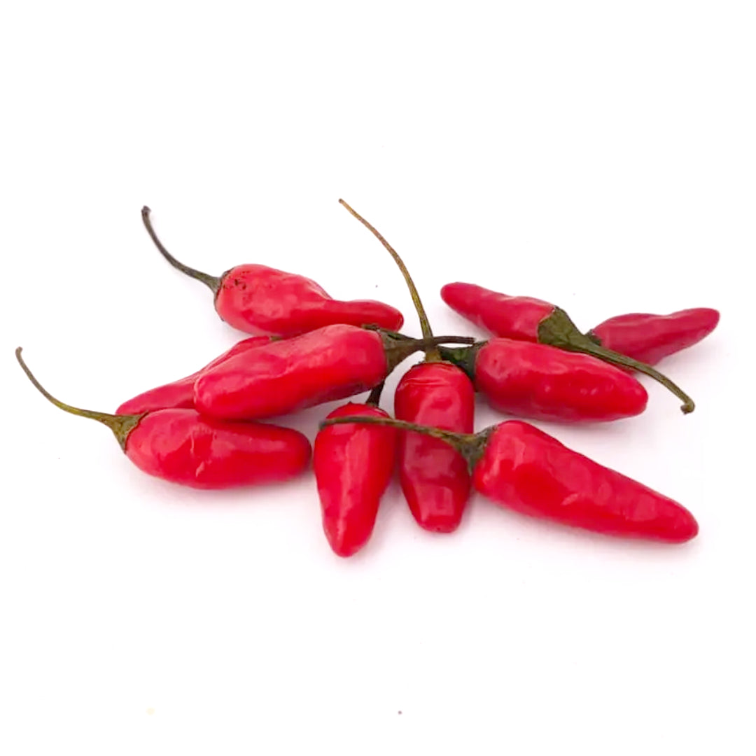 Apache Chili-Samen 10 Stk.