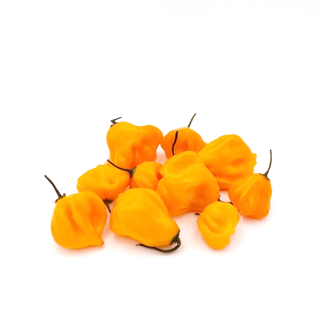 Brazilian Starfish Yellow Chili-Samen 10 Stk.