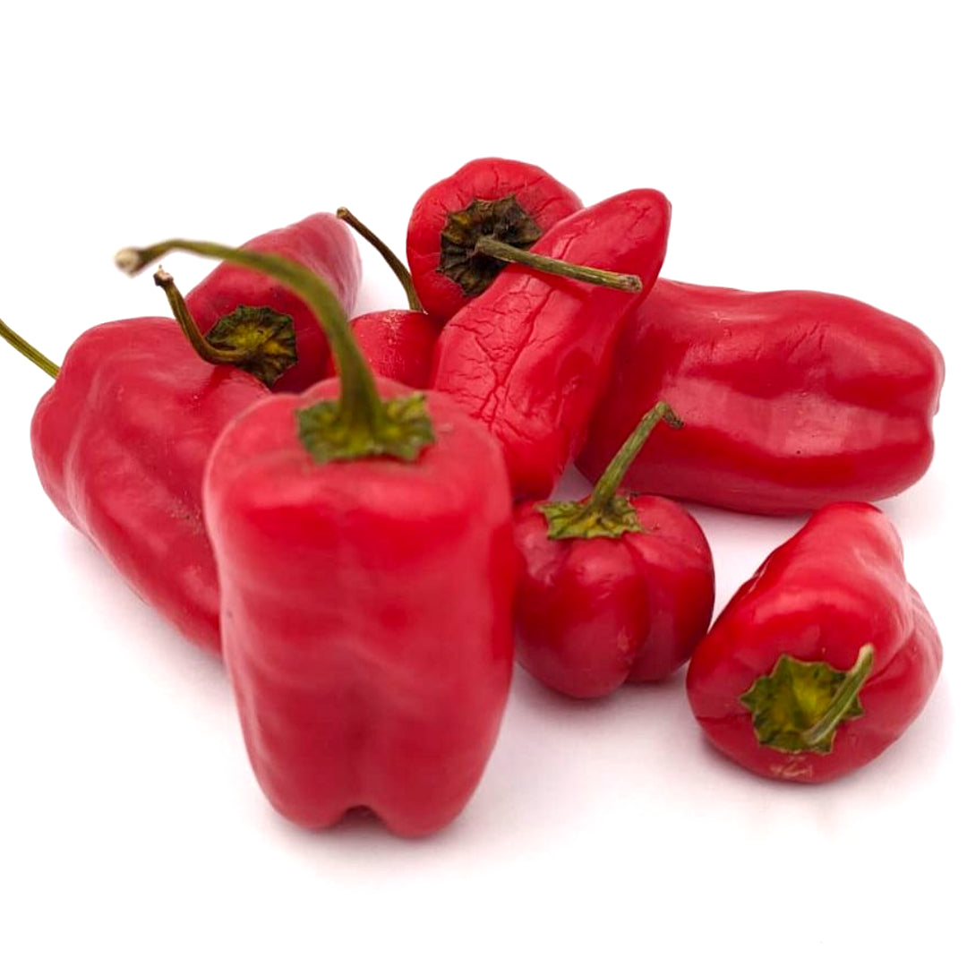 Cajun Belle Chili-Samen 10 Stk.