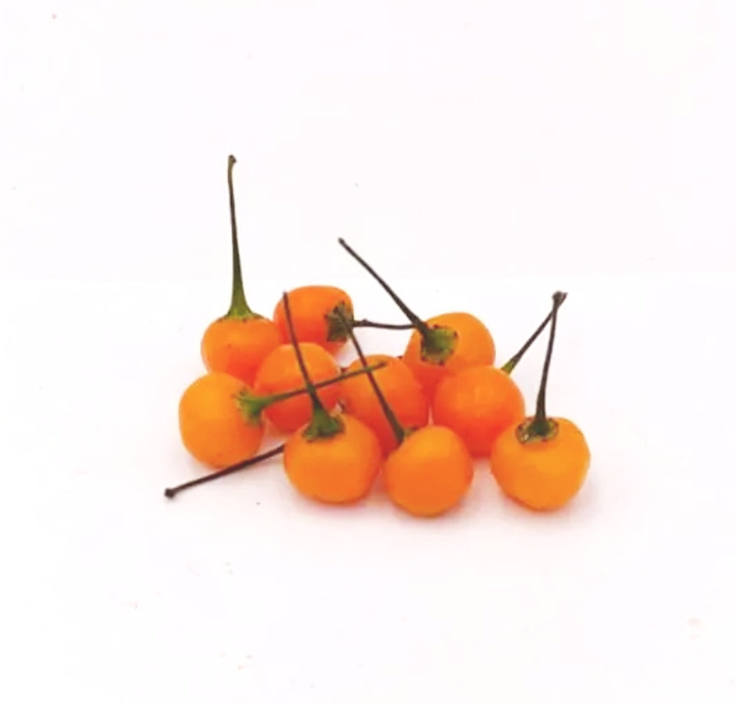 Charapita Orange Chili-Samen 10 Stk.