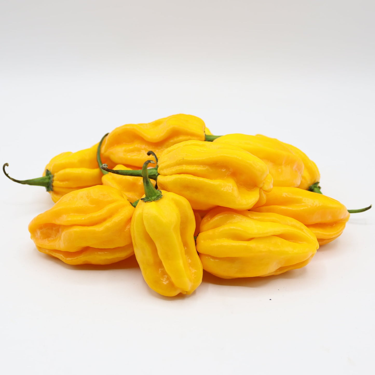 Habanero Gelb Chili-Samen 10 Stk.