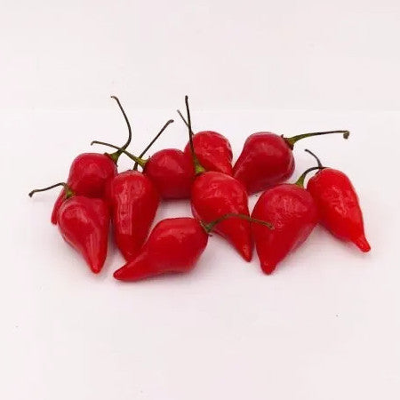 Habanero Tenzinha Rot Chili-Samen 10 Stk.