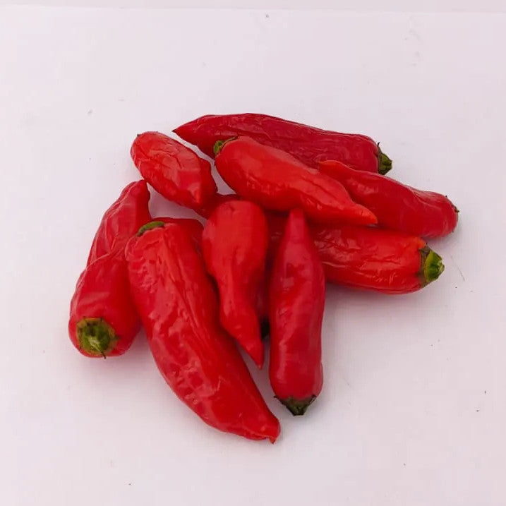 Madeira # 2 Chili-Samen 10 Stk.