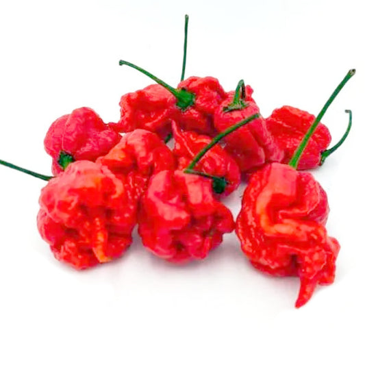 7 Pot Jonah Chili-Samen 10 Stk.