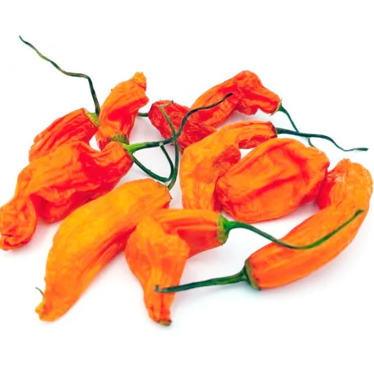 Aji Amarillo Chili-Samen 10 Stk.