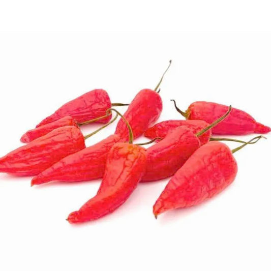 Aji Benito Chili-Samen 10 Stk.