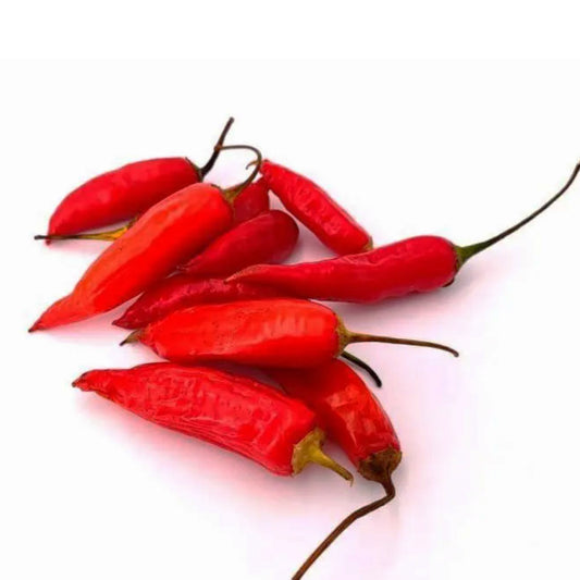 Aji Cristal Chili-Samen 10 Stk.