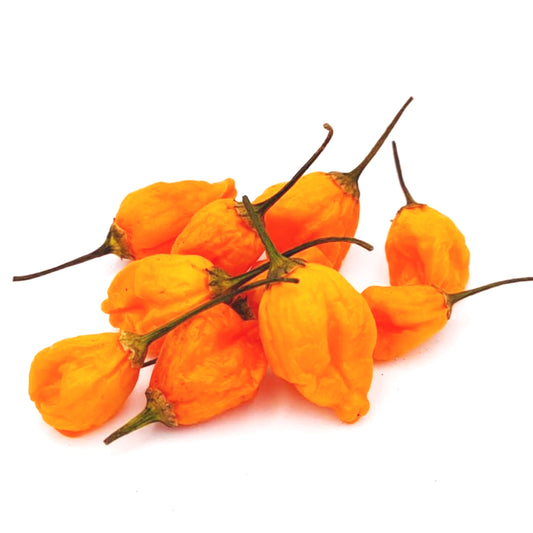 Aji Mango Chili-Samen 10 Stk.