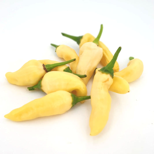 Naga Bhut Jolokia White Chili-Samen 10 Stk.
