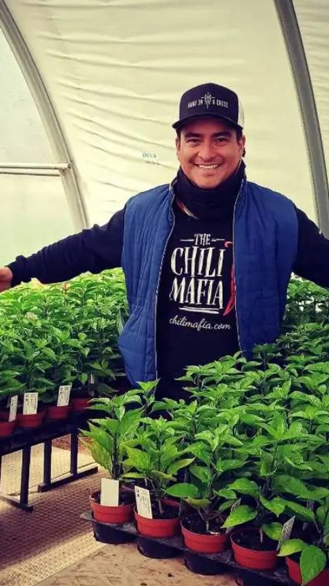 Chili Mafia 5 Scharfe Saucen Set - 500 ml