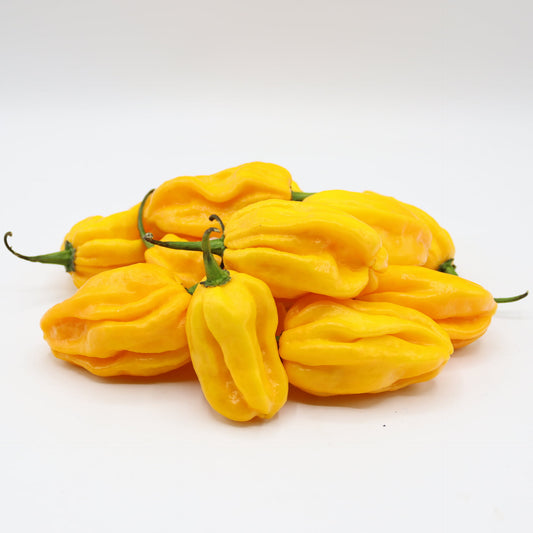 Habanero Gelb Chili-Samen 10 Stk.