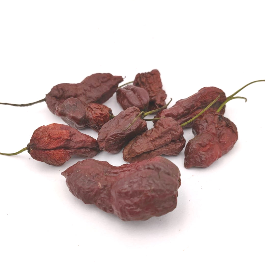 Habalokia Red Brown Chili-Samen 10 Stk.