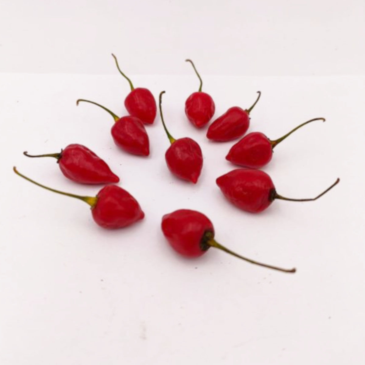 Habanero Bolivian Chili-Samen 10 Stk.