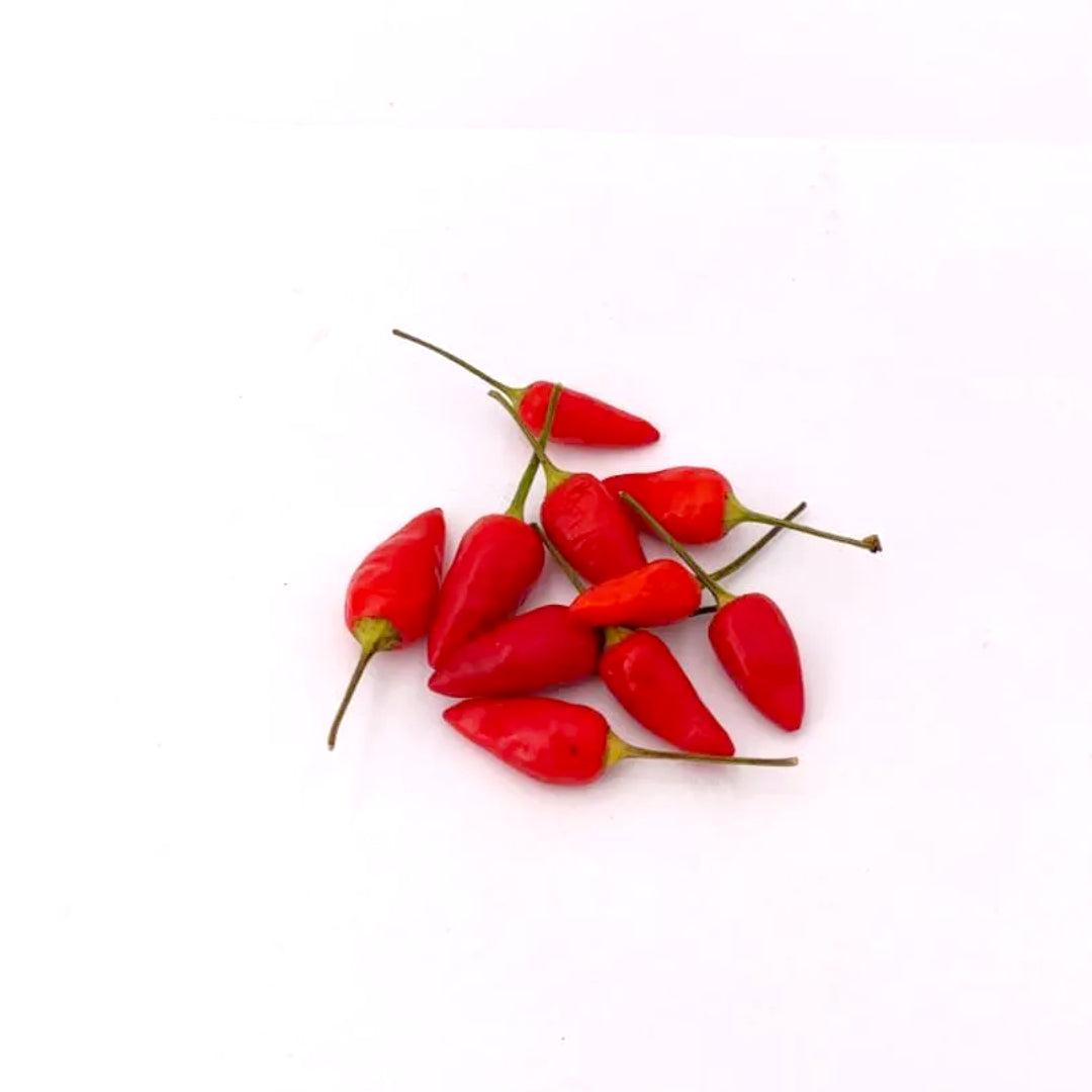 Korean Hot Chili-Samen 10 Stk.