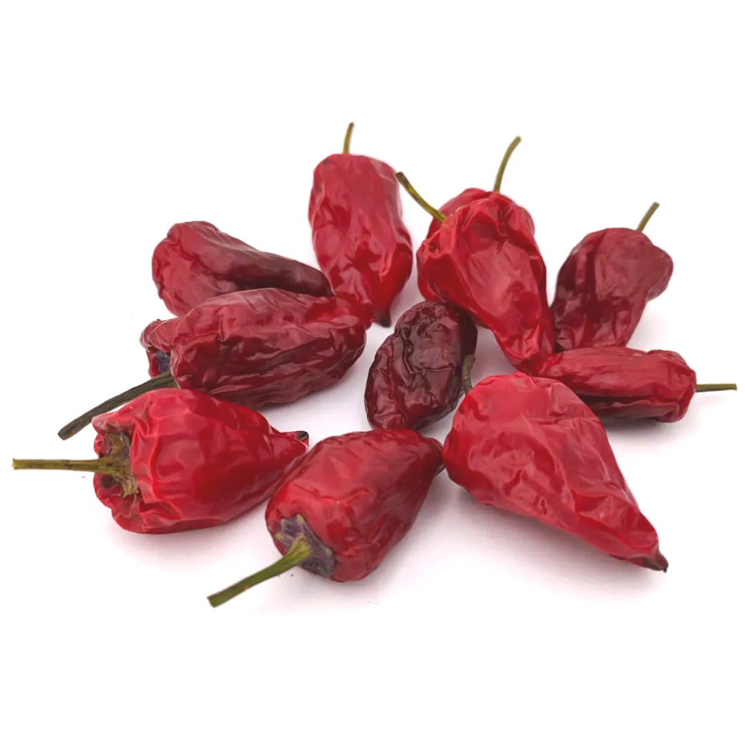 Purple Ufo Chili-Samen 10 Stk.