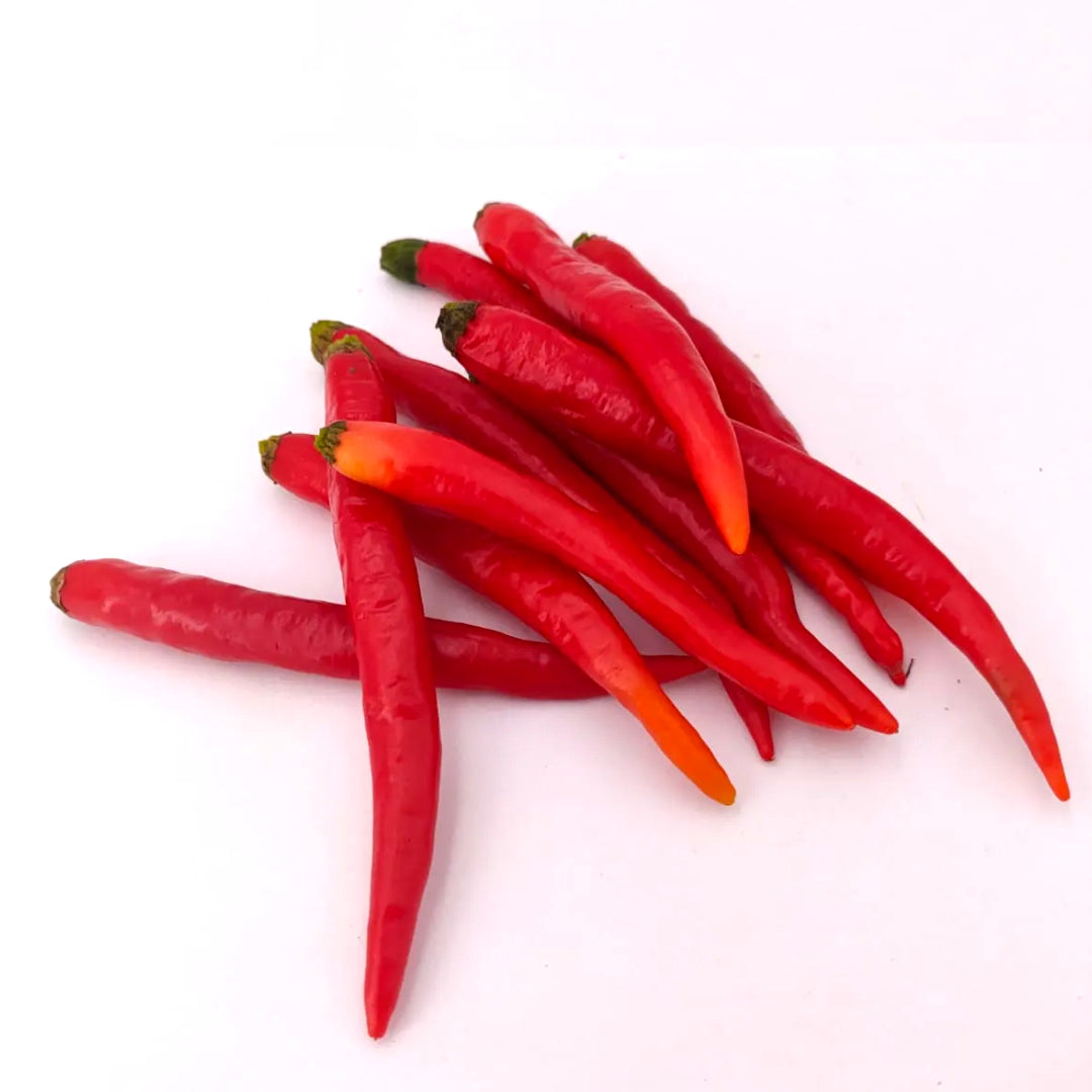 Space Chili After Glow Chili-Samen 10 Stk.