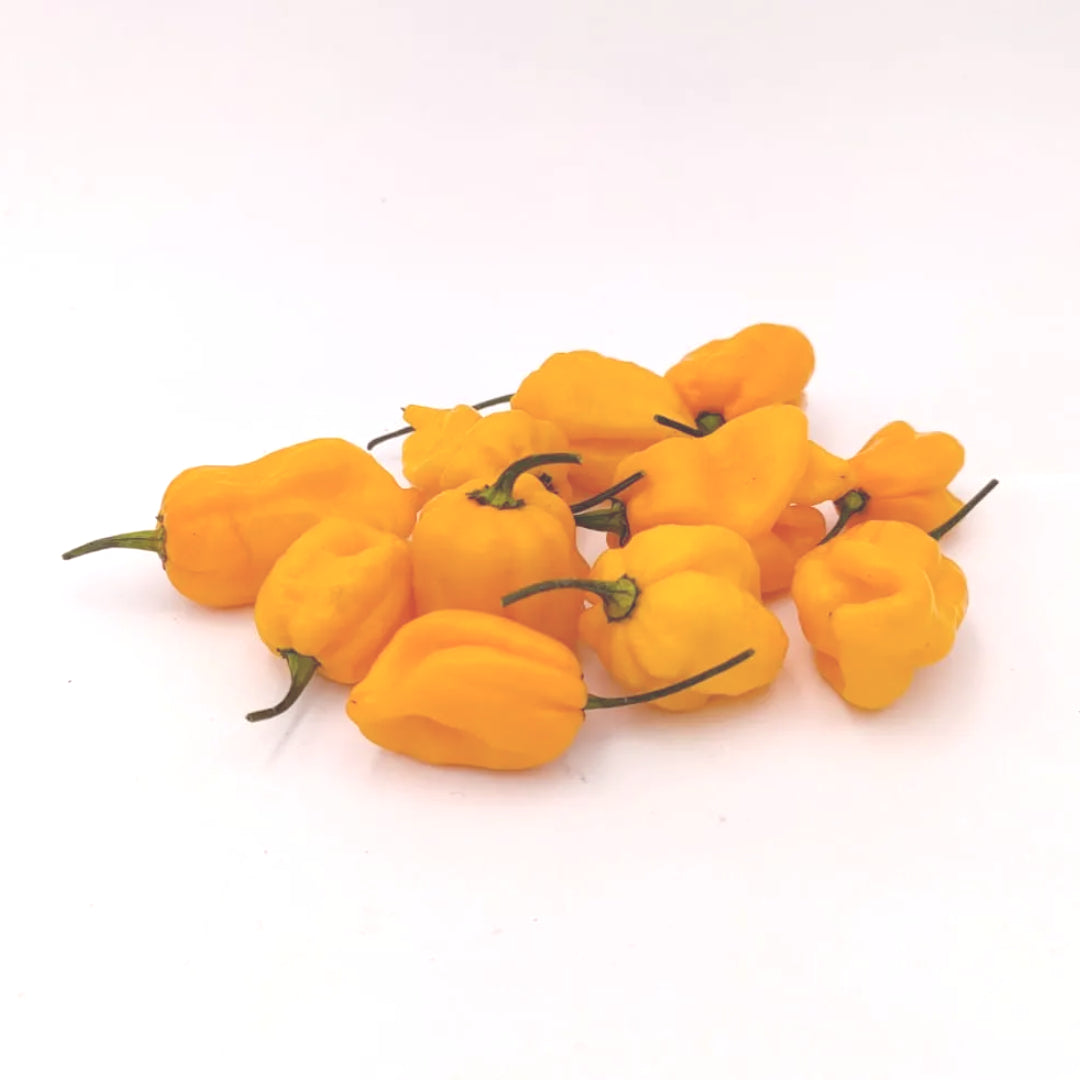 Trinidad Scorpion Butch T Yellow Chili-Samen 10 Stk.